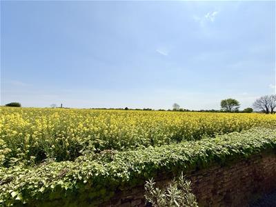 Picture 22